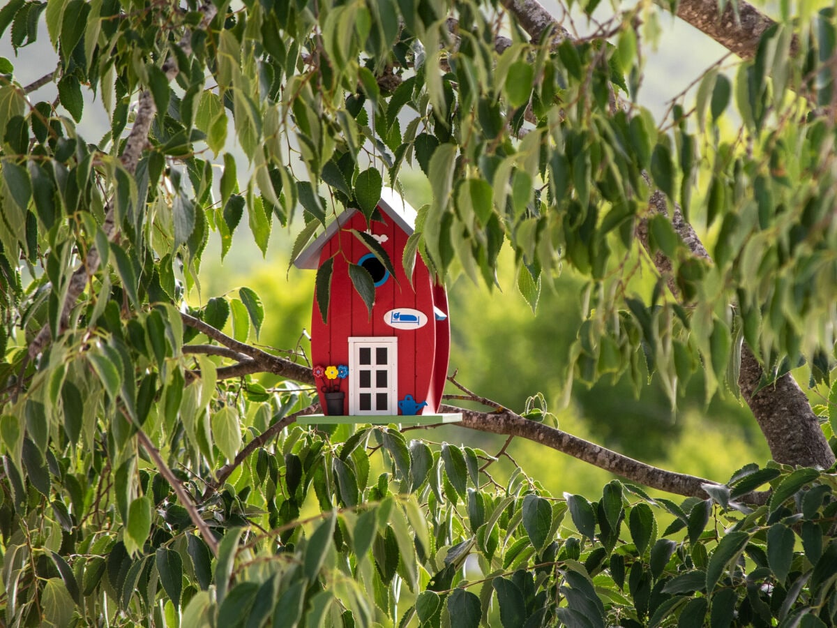 Ferienhaus Rašćane Ausstattung 41