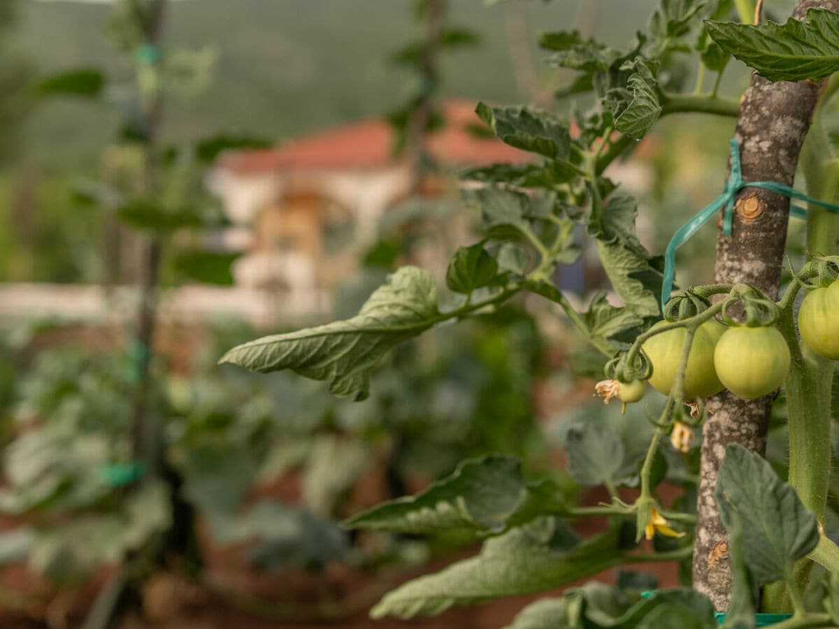 Ferienhaus Rašćane Ausstattung 44