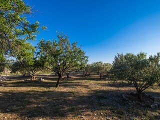Apartment Skradin Ausstattung 5