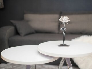 Apartment Sibenik Features 6