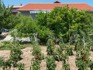 Holiday house Kastel Stafilic Outdoor Recording 2