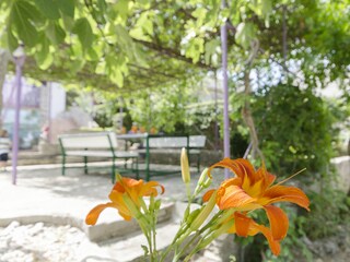 Apartment Sibenik Features 12