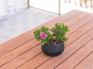 Apartment Raslina Features 13