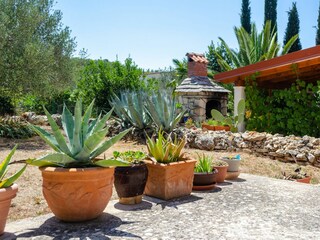 Apartment Vela Luka Features 10