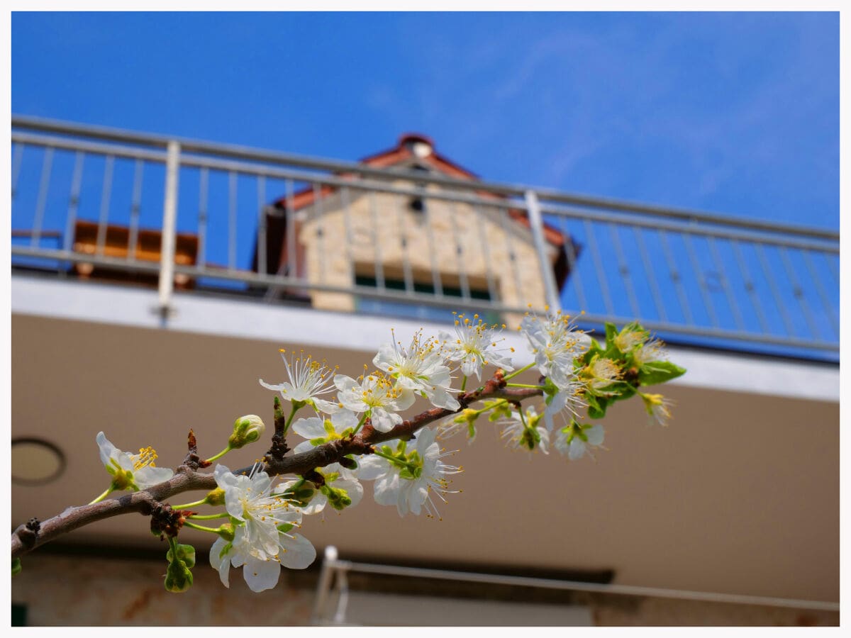 Ferienhaus Primosten Ausstattung 23