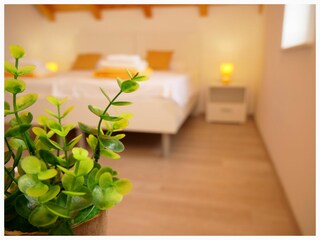 Holiday house Primosten Features 22