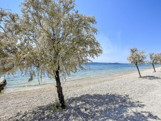 Apartment Biograd Environment 23