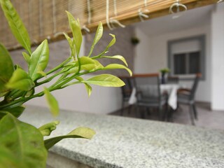 Apartment Turanj Features 16