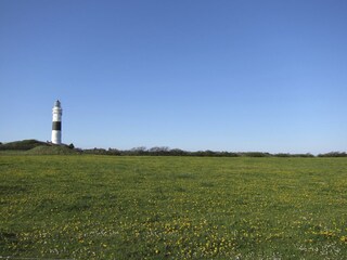 Braderuper Heide