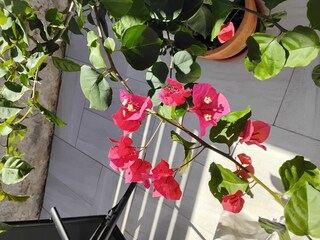 Holiday house Srima Features 16