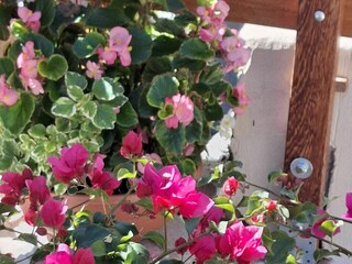 Holiday house Srima Features 17