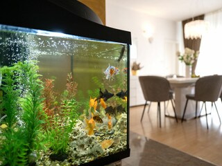 Ferienhaus Skradin Ausstattung 44