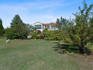 Holiday house Dicmo Features 27