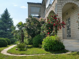 Holiday house Dicmo Features 49