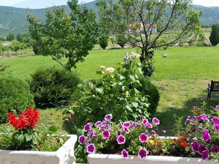 Holiday house Dicmo Features 41