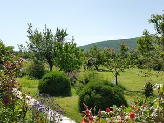 Holiday house Dicmo Features 42