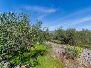 Apartment Slatine Features 12