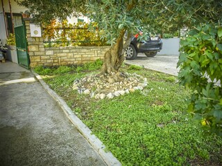 Apartment Biograd Features 14