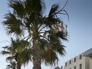 Apartment Split (Stadt) Ausstattung 23