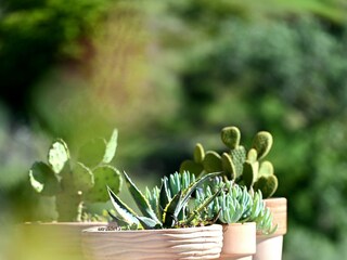 Ferienhaus Milna (Hvar) Ausstattung 27