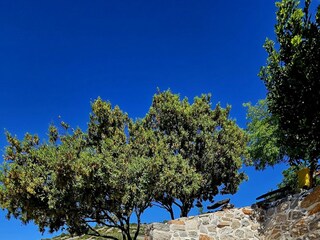 Ferienhaus Milna (Hvar) Ausstattung 36