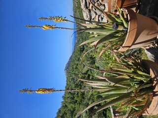 Holiday house Milna (Hvar) Features 39