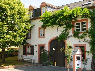 Holiday apartment Vineyard Willems-Willems