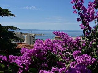 Apartment Makarska Ausstattung 1