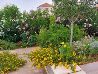 Ferienhaus Donje Selo Ausstattung 24