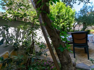 Apartment Okrug Gornji Features 2