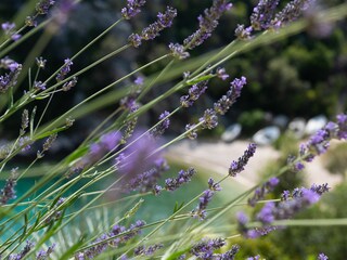 Apartment Sevid Außenaufnahme 11