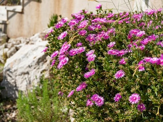 Apartment Sevid Außenaufnahme 4