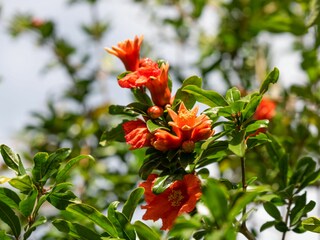 Apartment Sevid Outdoor Recording 12