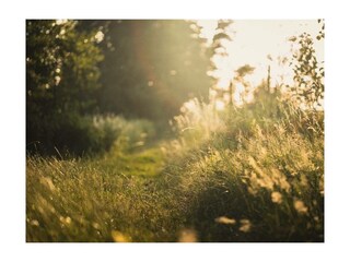 Ferienwohnung Pfronten Außenaufnahme 13