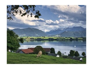 Ferienwohnung Füssen Außenaufnahme 15