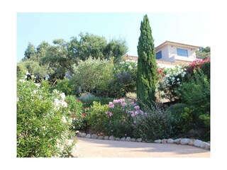 Ferienwohnung Porto Vecchio Außenaufnahme 3