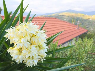 Holiday house Imperia Environment 21