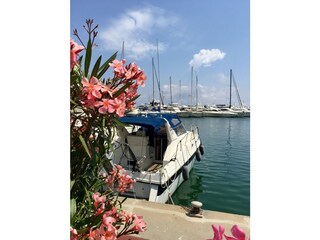 Holiday house Imperia Environment 23
