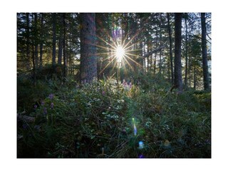 Ferienwohnung Garmisch-Partenkirchen Außenaufnahme 19