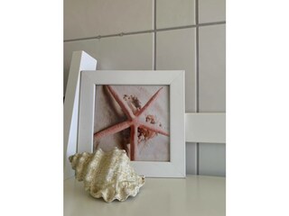 Ferienwohnung Eckernförde Außenaufnahme 10