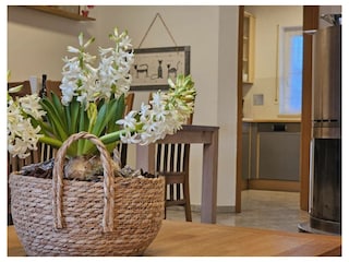 Ferienwohnung Neßmersiel Außenaufnahme 4