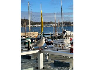 Ferienwohnung Eckernförde Außenaufnahme 21