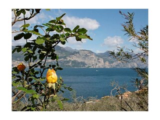 Ferienwohnung Brenzone sul Garda Außenaufnahme 22