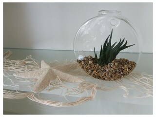 Ferienwohnung Grömitz Außenaufnahme 6