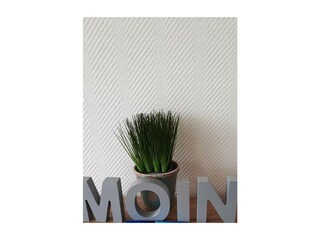 Ferienwohnung Grömitz Außenaufnahme 15