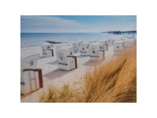 Ferienwohnung Grömitz Außenaufnahme 23