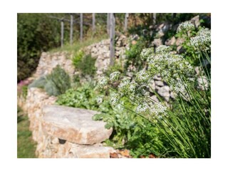 Ferienwohnung Brenzone sul Garda Außenaufnahme 43