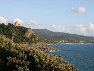 Holiday apartment Livorno Environment 23