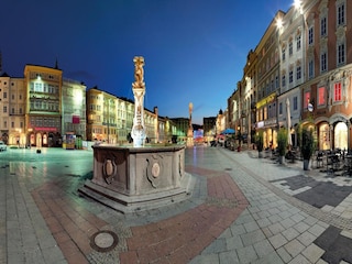 Apartment Linz Umgebung 14