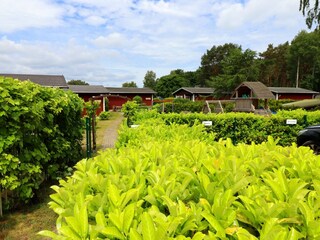 Bungalow Koserow Ambiente 29